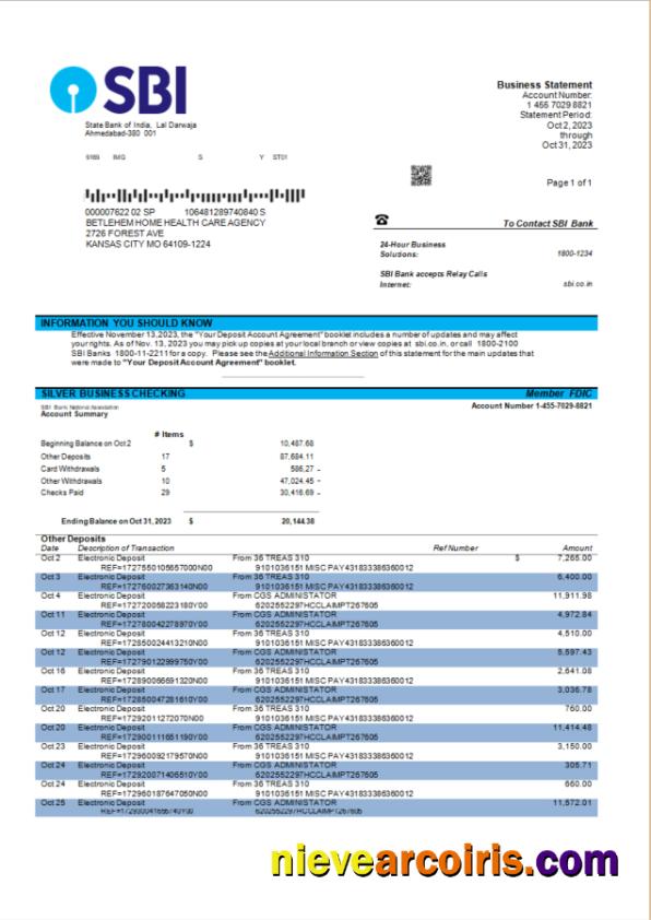State Bank of India company account statement